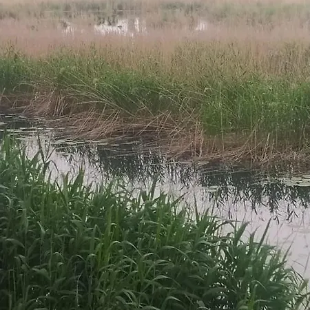 Lipot-haus Tatil Evi *