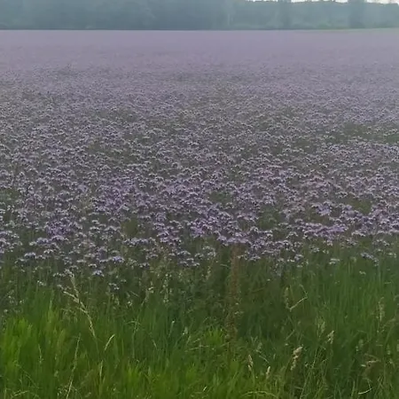 Lipot-haus Tatil Evi