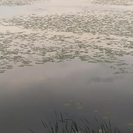 Tatil Evi Lipot-haus Lipót