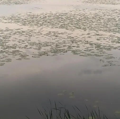 別荘 Lipot-haus Lipót