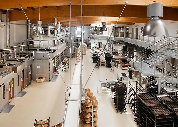 Lipot-haus Case de vacanță